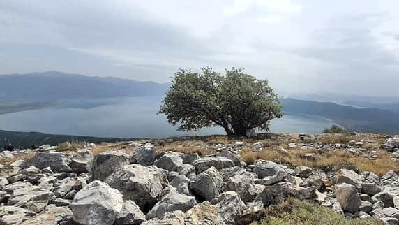 טיולי ג'יפים בצפון מקדוניה