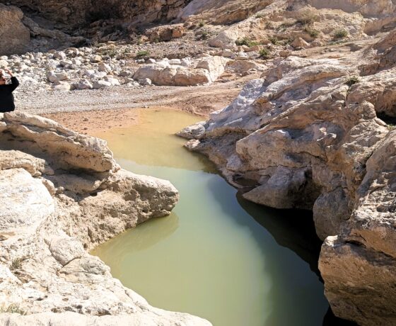 טיולי ג'יפים ציידי שיטפונות